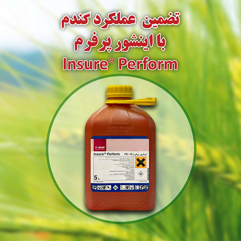 Introduction of BASF Inshure Perform fungicide, wheat seed disinfectant
